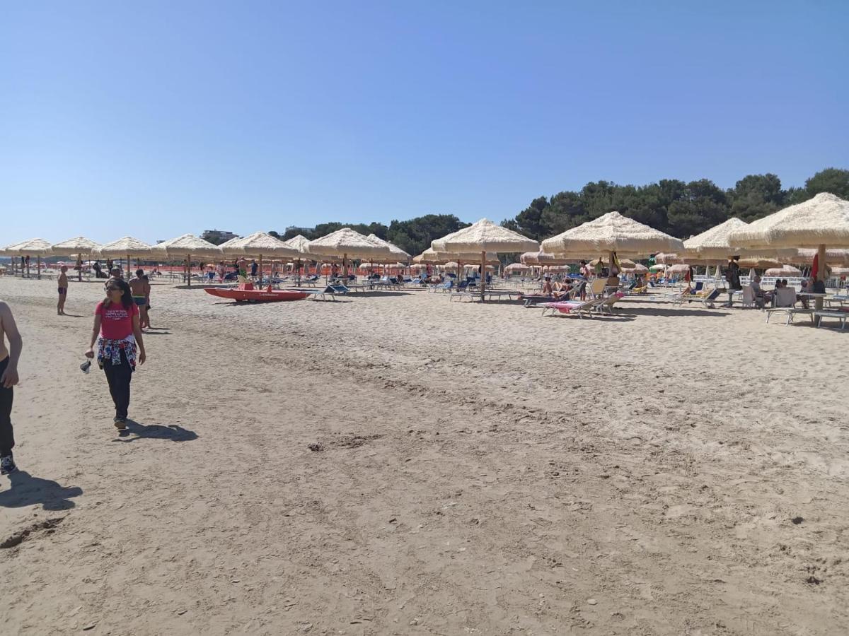 Villa Annamaria Montesilvano Marina 外观 照片